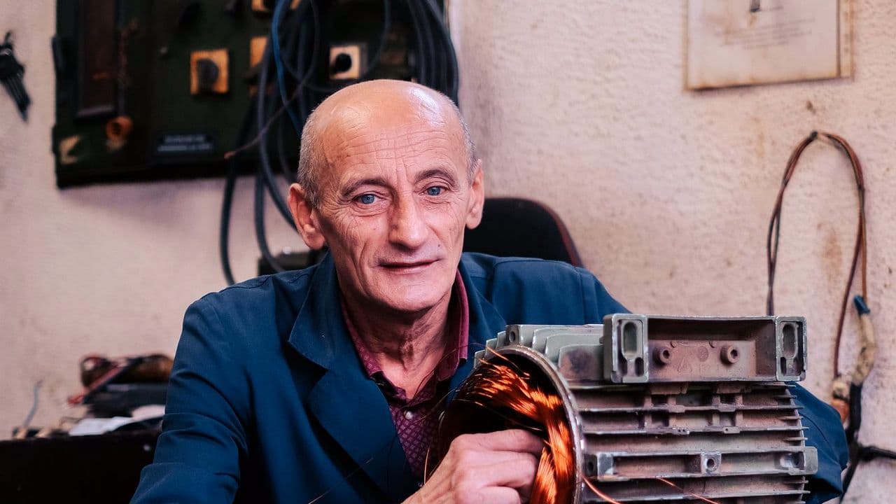 Generator Stator Rewinding — Citizen Cooling Solutions